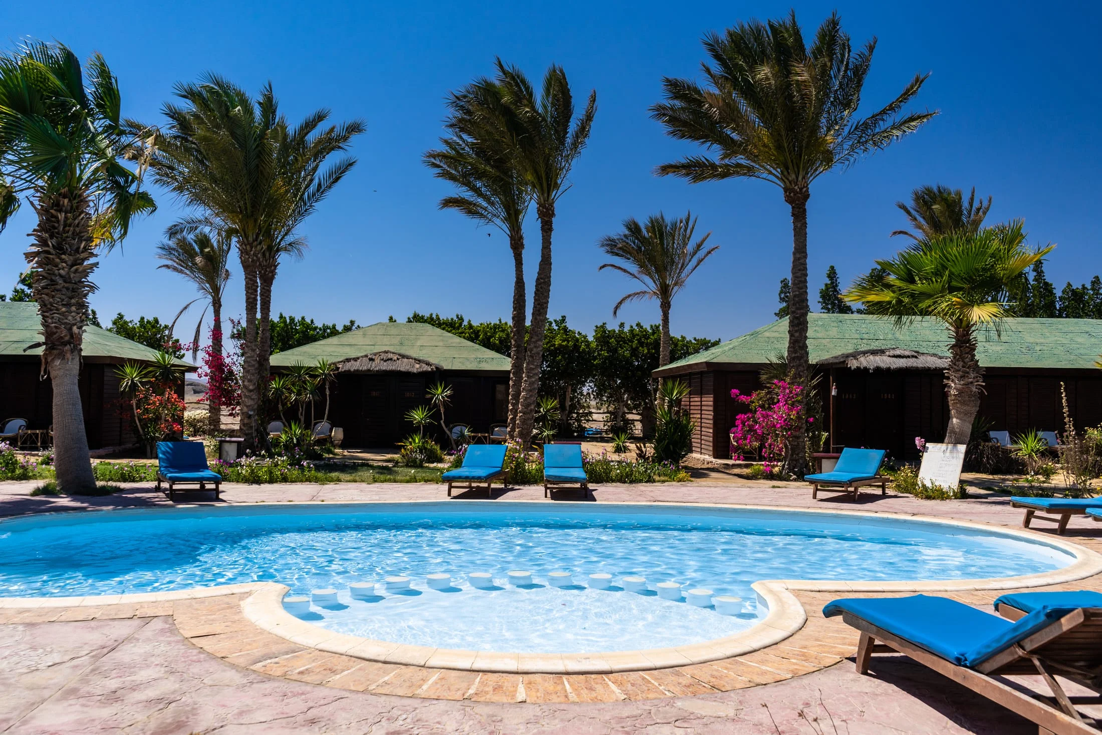 Abu Dabbab Diving Lodge — photo 18